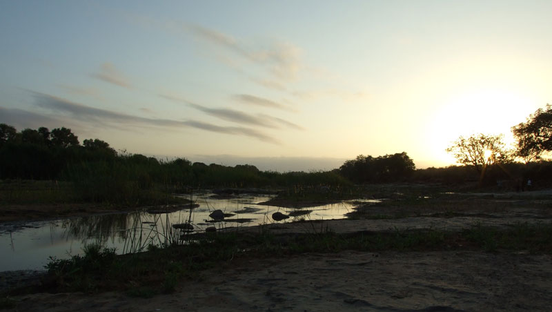 il cielo d' Africa