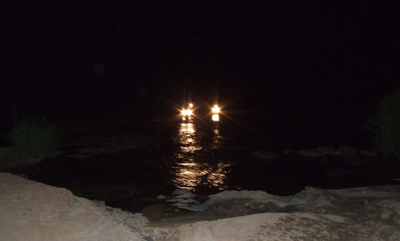 safari notturno in compagnia