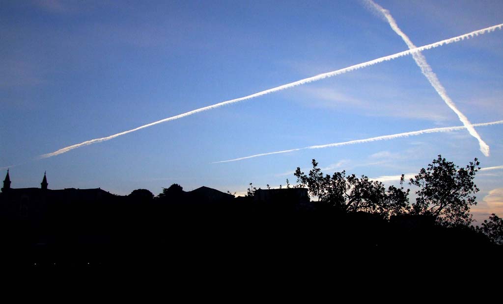 Scie