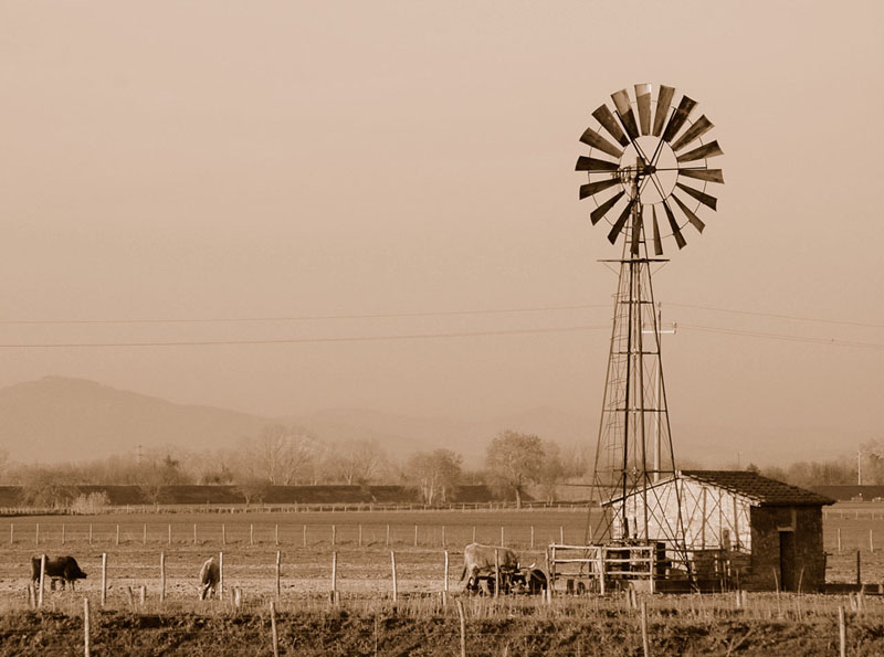 Maremma