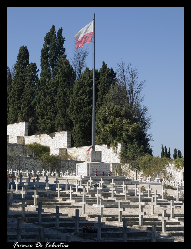 White crosses