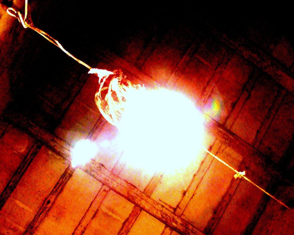 ... in notturno contesto agreste
