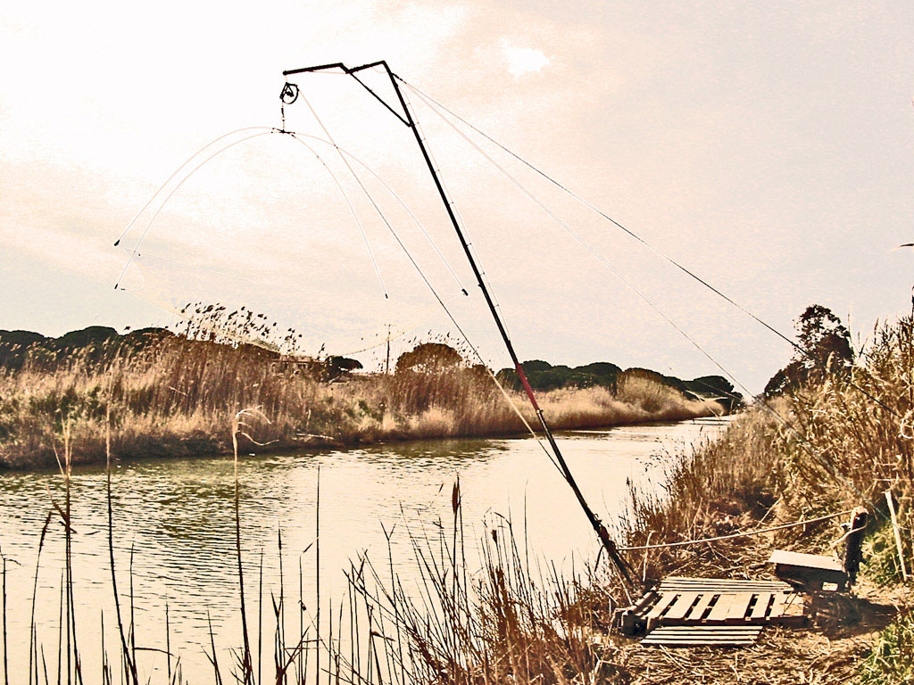 pesca con bilancia