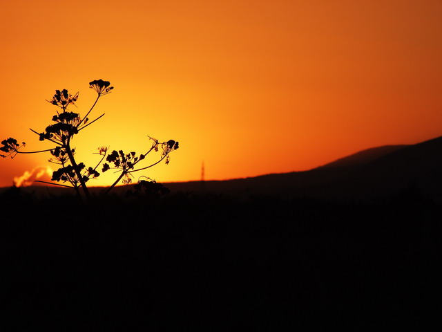 tramonto