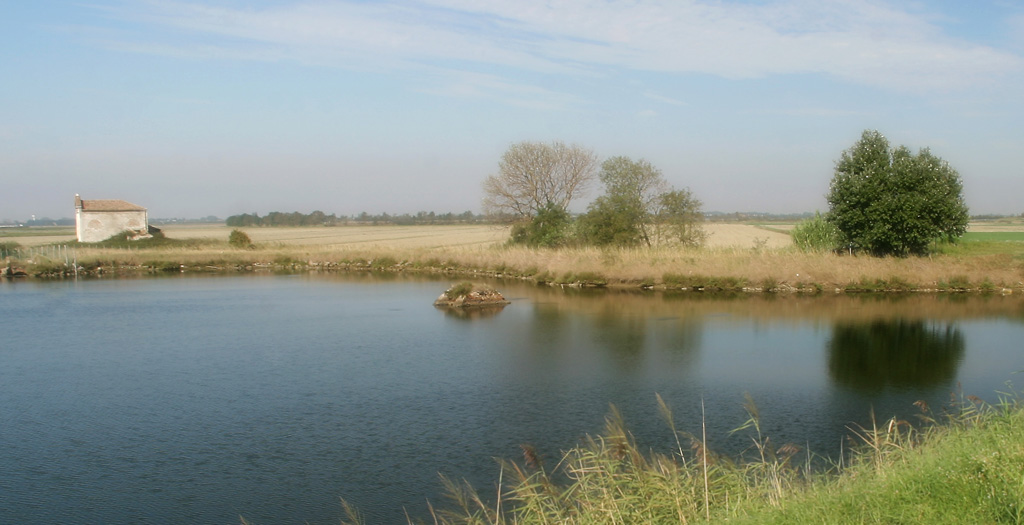 Delta del Po