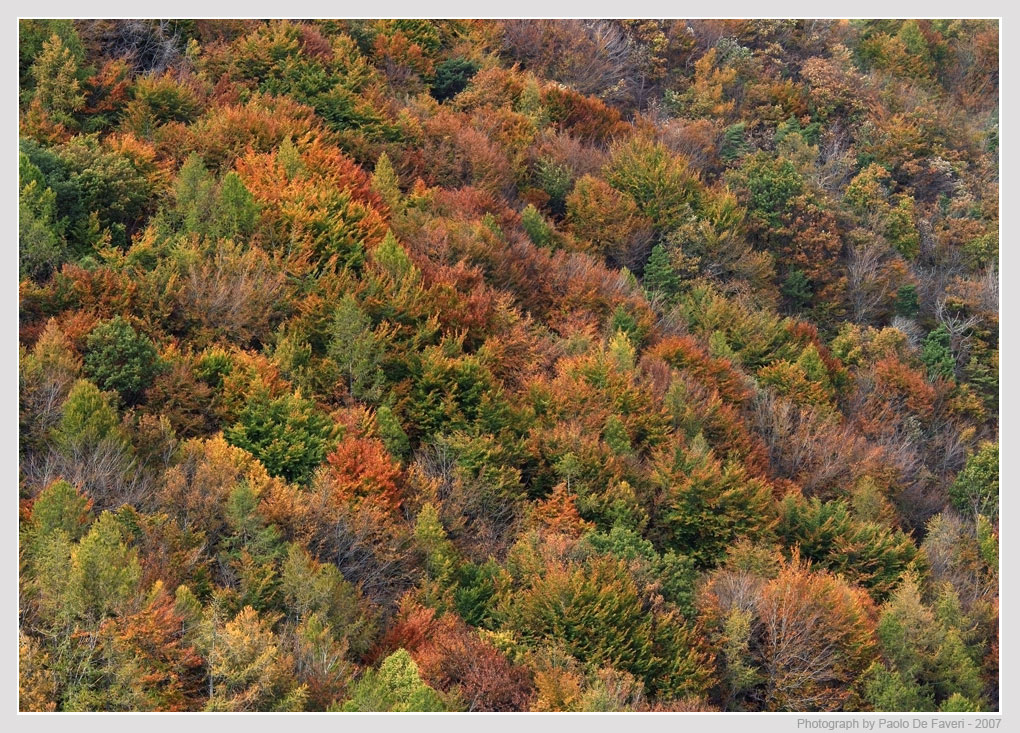 Autunno.
