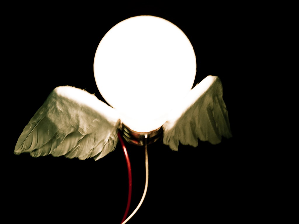 * LUCE-llino *
