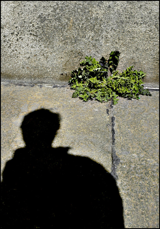 l'ombra del passante