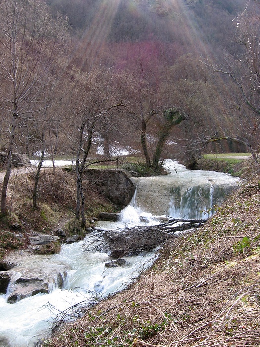 Torrente