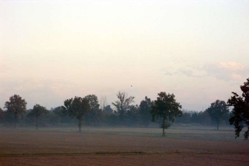 Fog