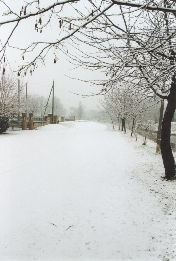 Inverno#2 2006