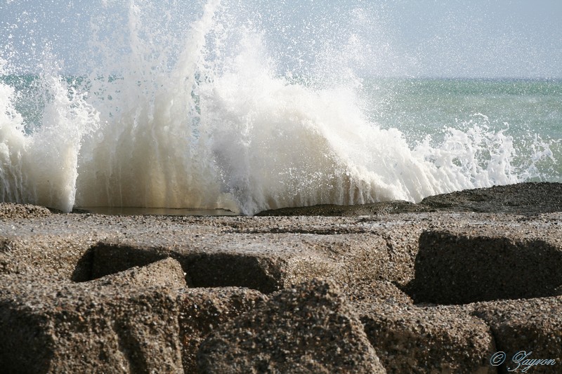 onde