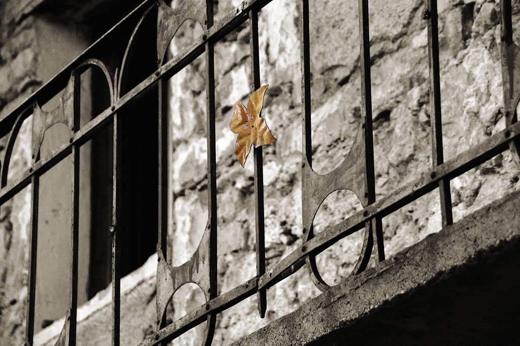 Autunno, Poffabro