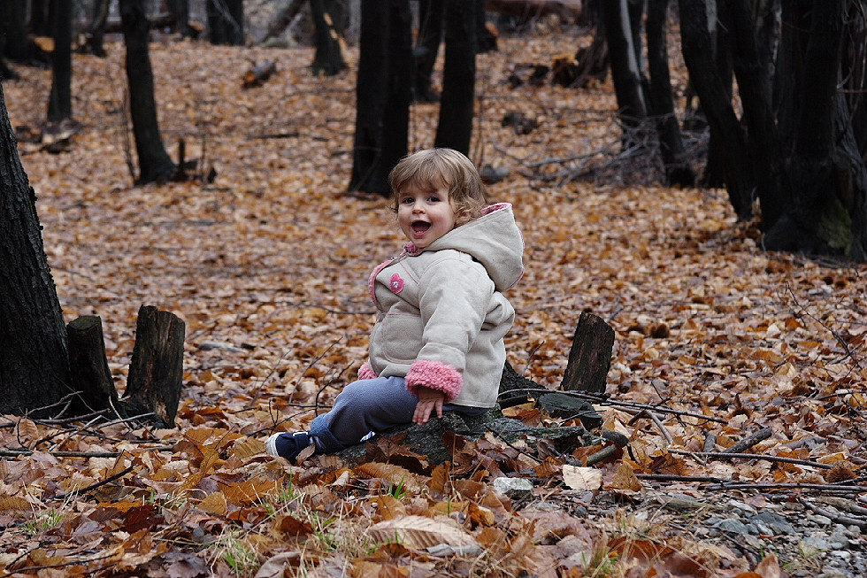 Nel bosco 2