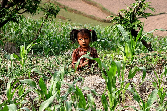 nepal5