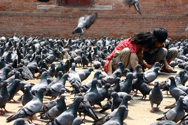 nepal14