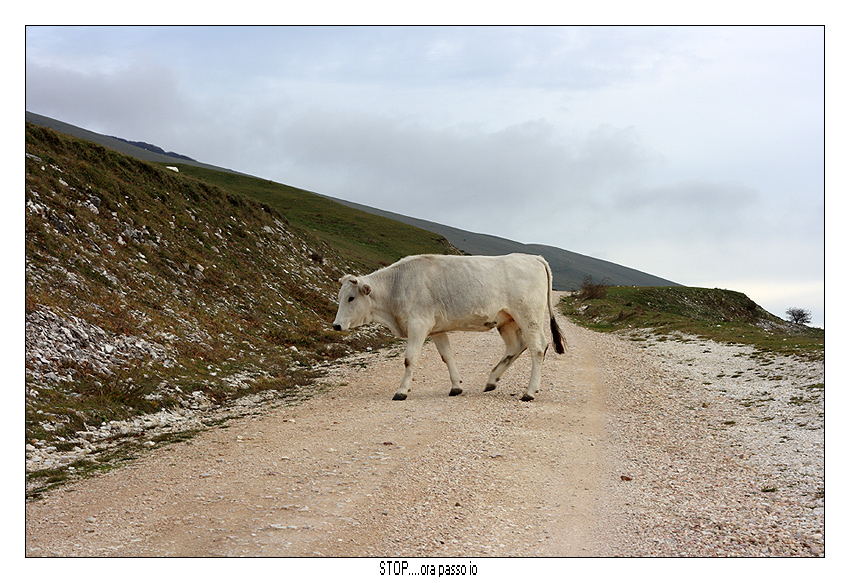 Stop...ora passo io!