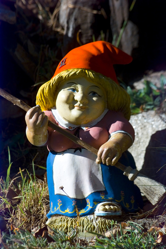 Gnome