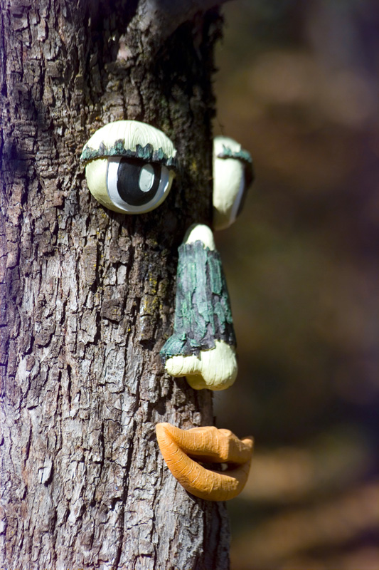 Speaking Tree