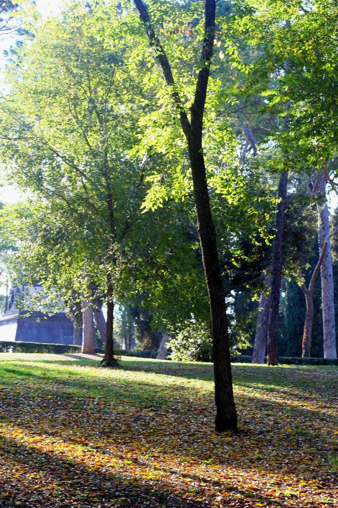 Villa Borghese