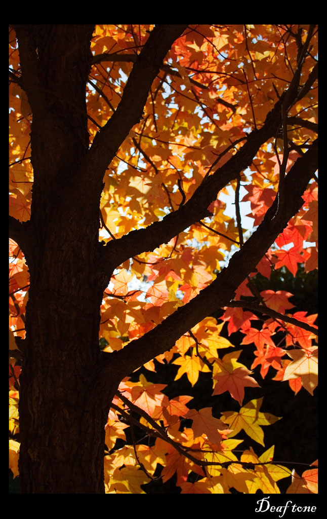 Autumn pt.5