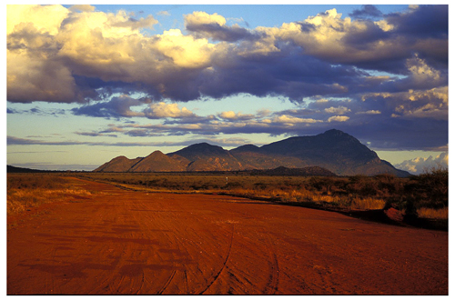 Savana del Kenia