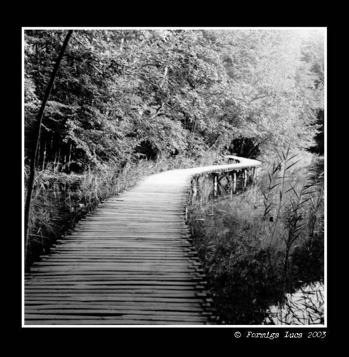 Passerella, Laghi di Plitvice, Croazia