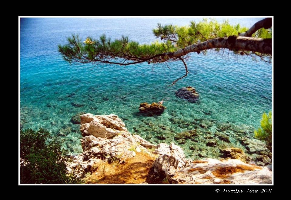 Mare a Mocenicka Draga, Croazia