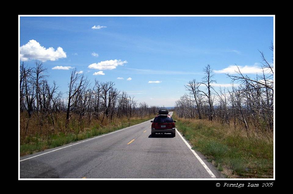 Verso la Mesa Verde, Colorado