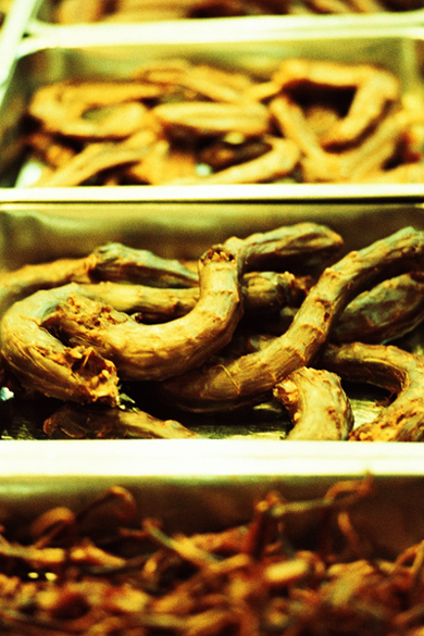 Colorful Shanghai 14