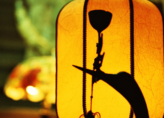 Colorful Shanghai 15