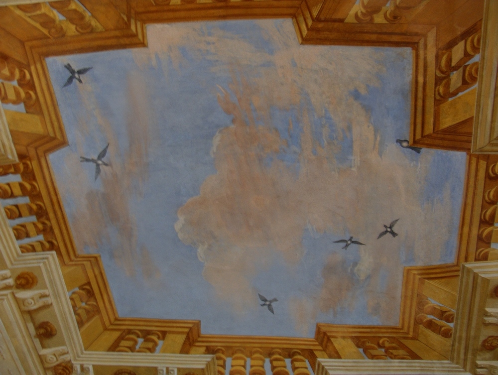 cielo