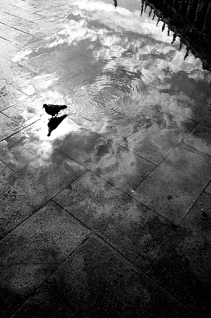 venezia_04