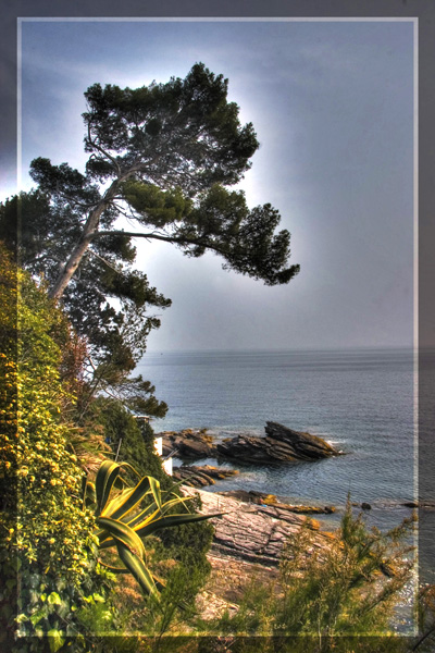 genova nervi