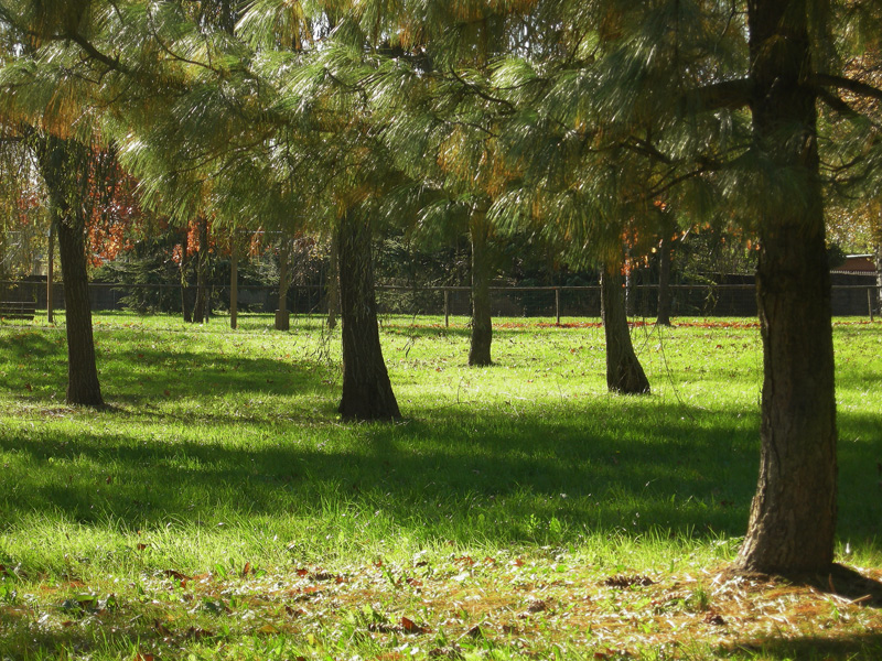 Piccolo parco07