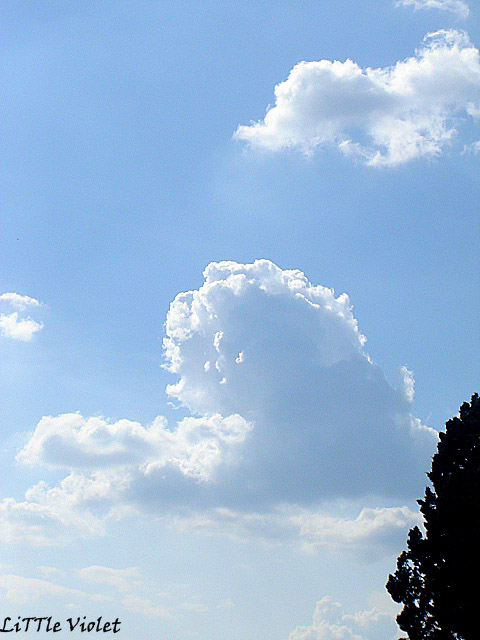 Sky