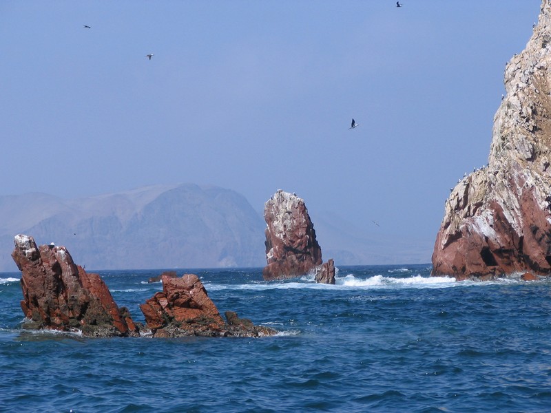 Viaggio Per