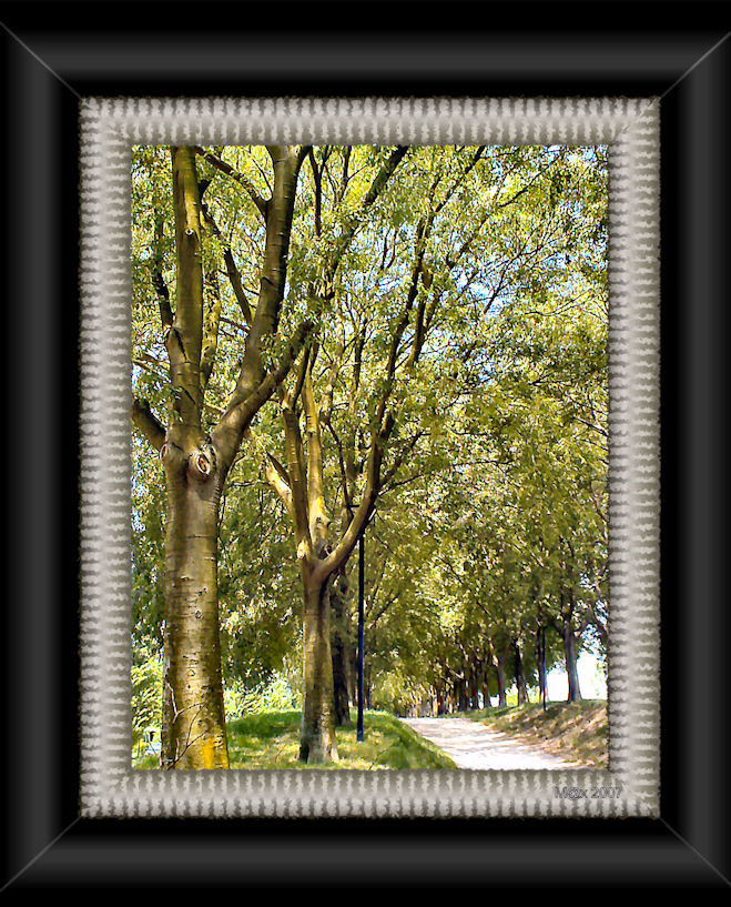 arbre