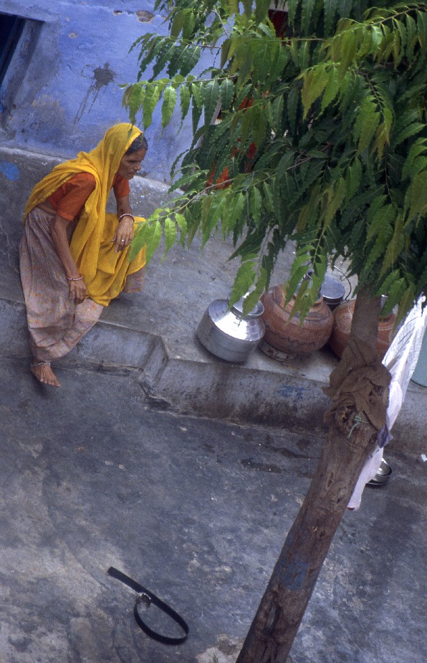 pushkar