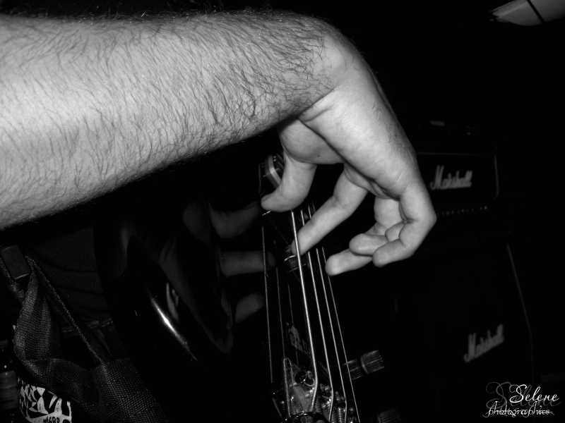 Bassista