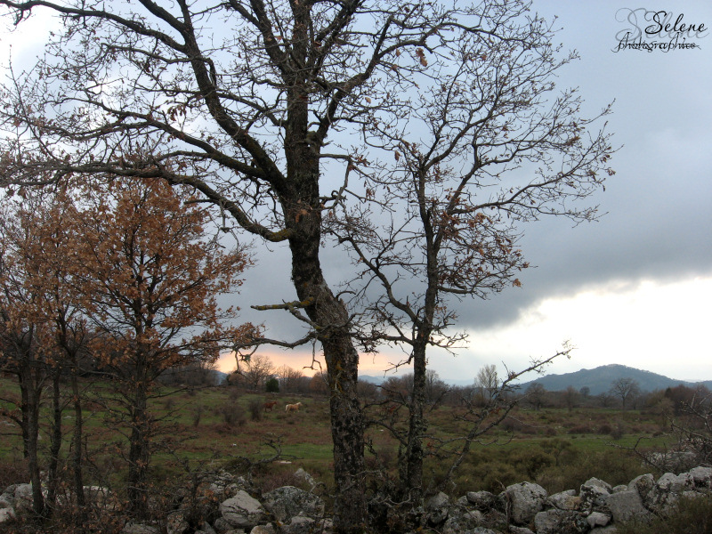 In lontananza la serenit