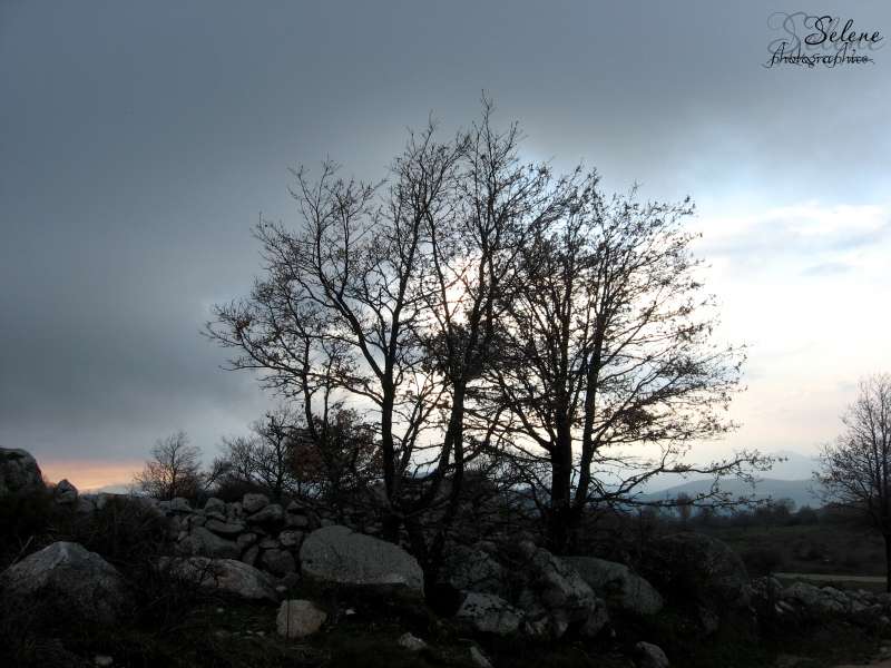 Paura