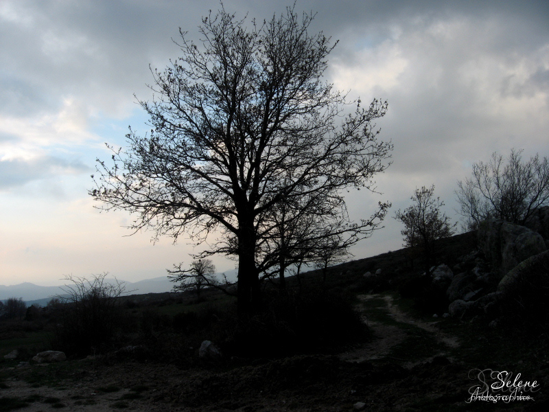 La solitudine