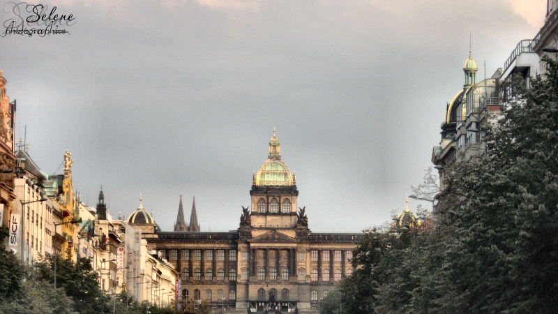 Museo Nazionale