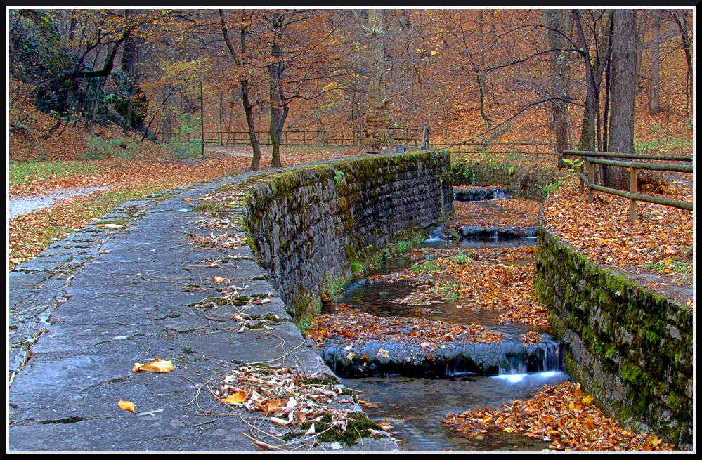 Pace nel Parco #3