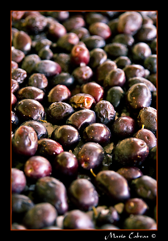 Olive