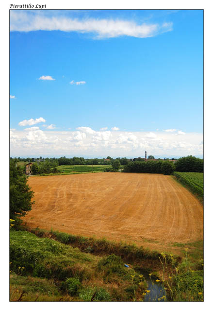 campagna cremonese