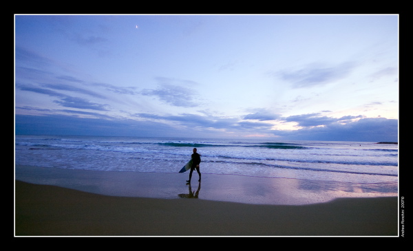 Surf