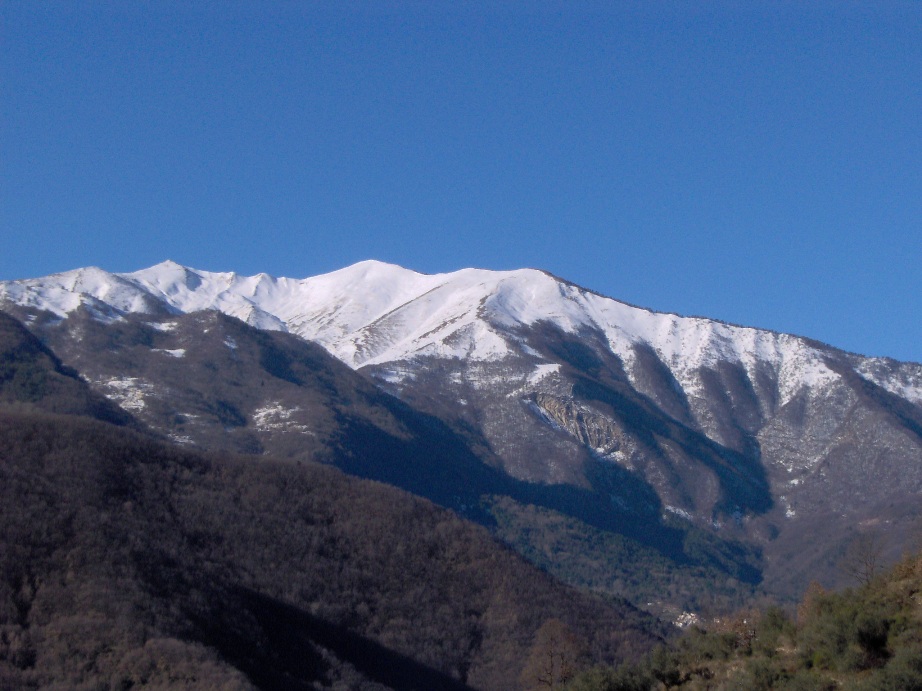 monti