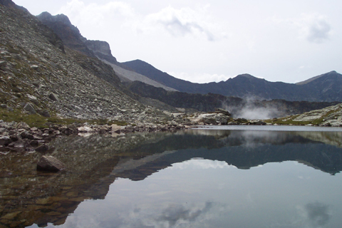 RIFLESSI